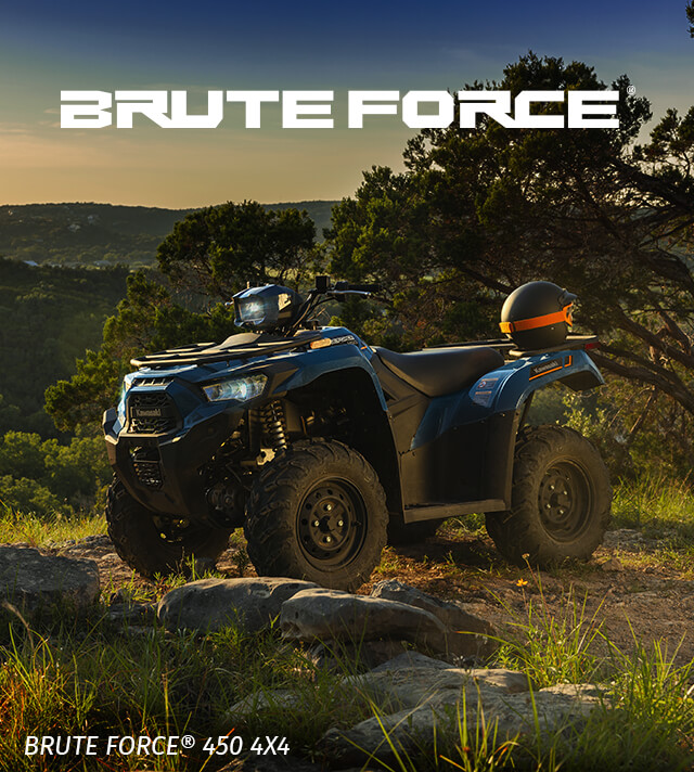 Brute Force FAMILY:  SMALL IMAGE