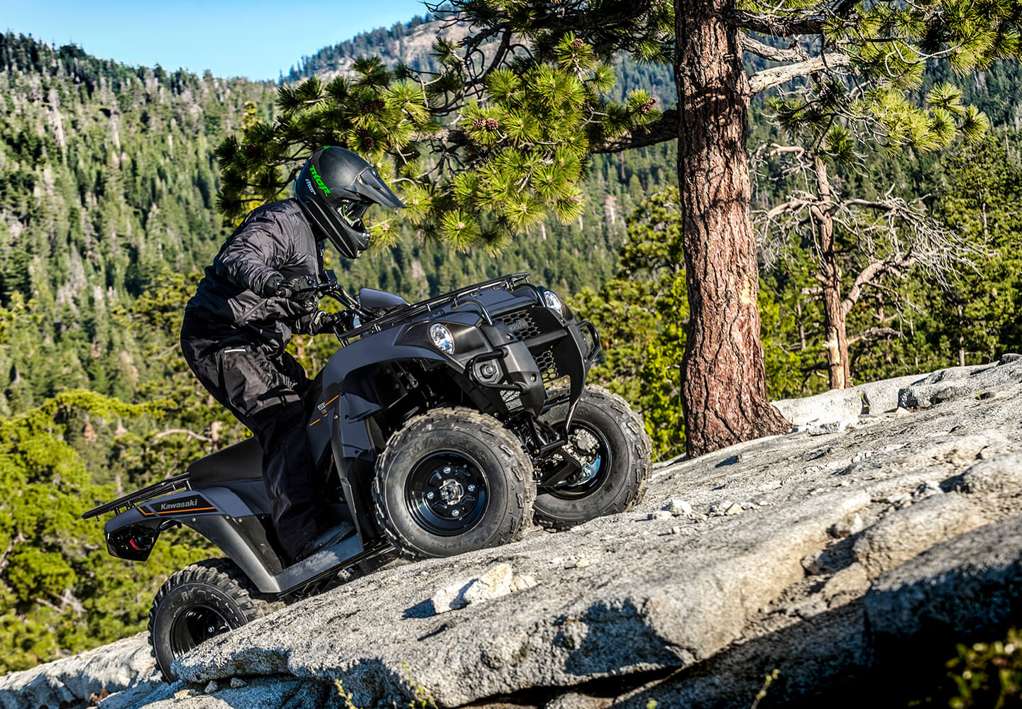 KAWASAKI TERYX: TERYX LE