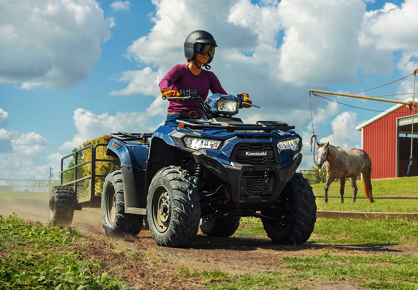 KAWASAKI Brute Force