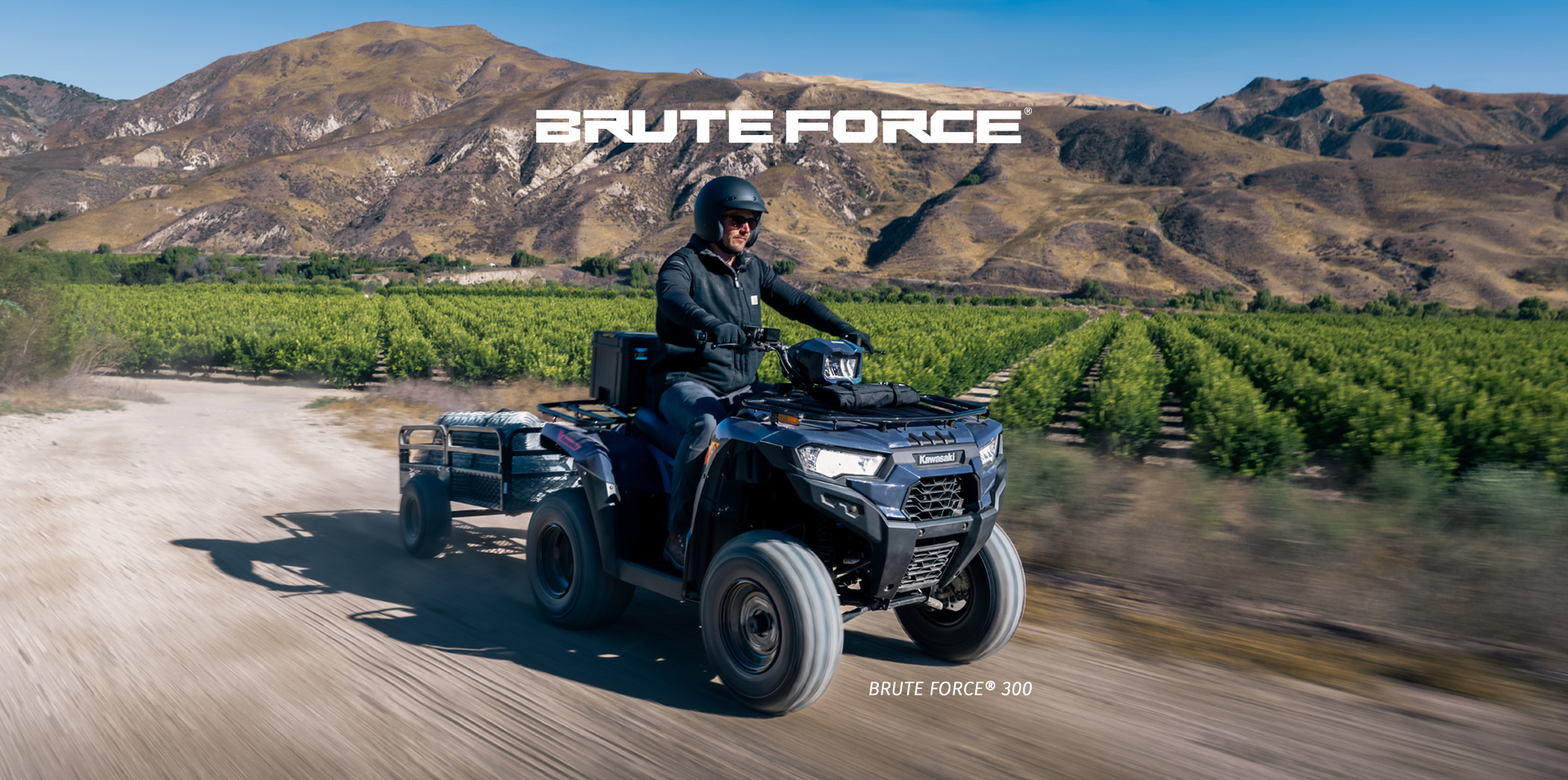 Brute Force FAMILY: