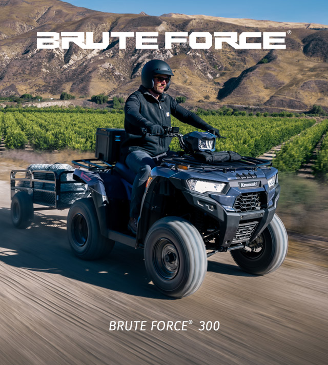 Brute Force FAMILY:  SMALL IMAGE