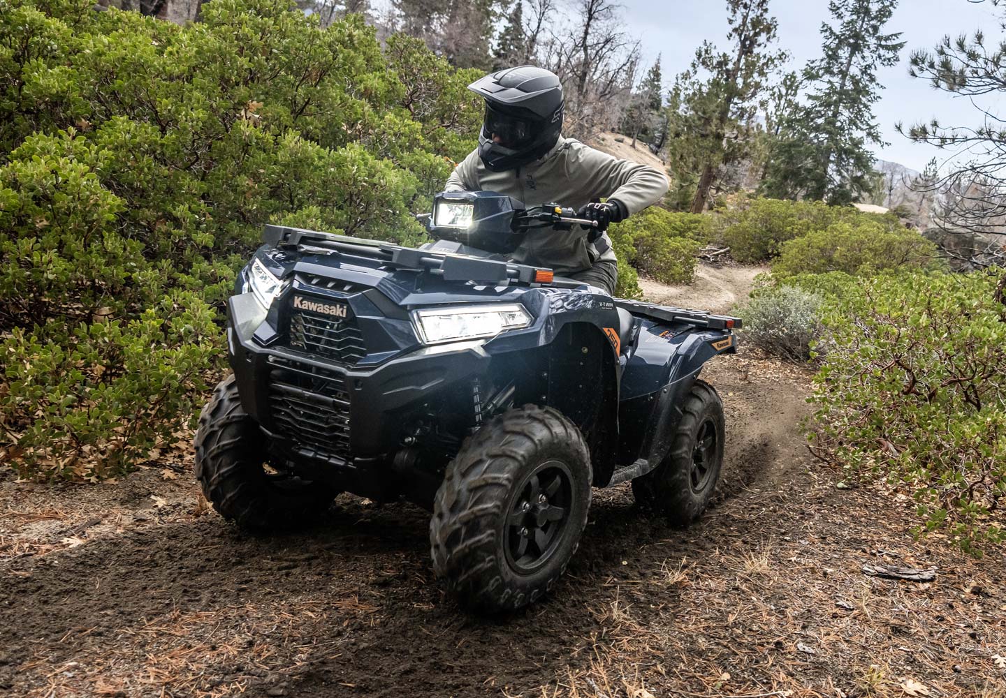 KAWASAKI Brute Force